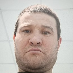 , , 41 