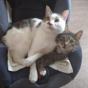 ���� ����, �����-���������, 61 ��� - ��������� 27 ������� 2023