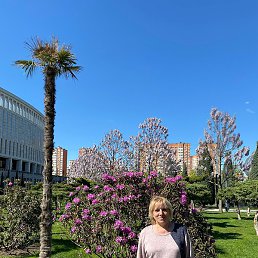 �������, ������, 61 ���