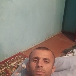 , 33, 