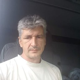 , 51 , 