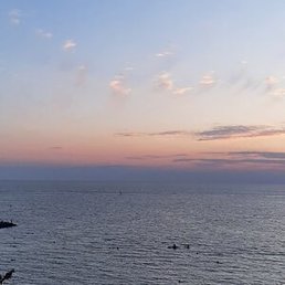 �����, ������, 56 ���
