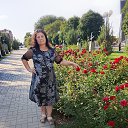 ���� �������, ���������, 63 ���� - ��������� 4 ������� 2026 � ������ ���� ����������
