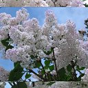 ���� ����, ������ - ��������� 4 ��� 2026 � ������ ������ ��������