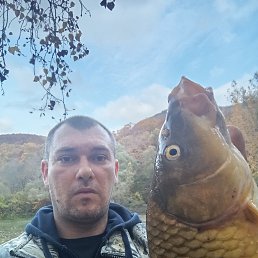 , 37, 