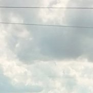 �����, 44 ����, ���������