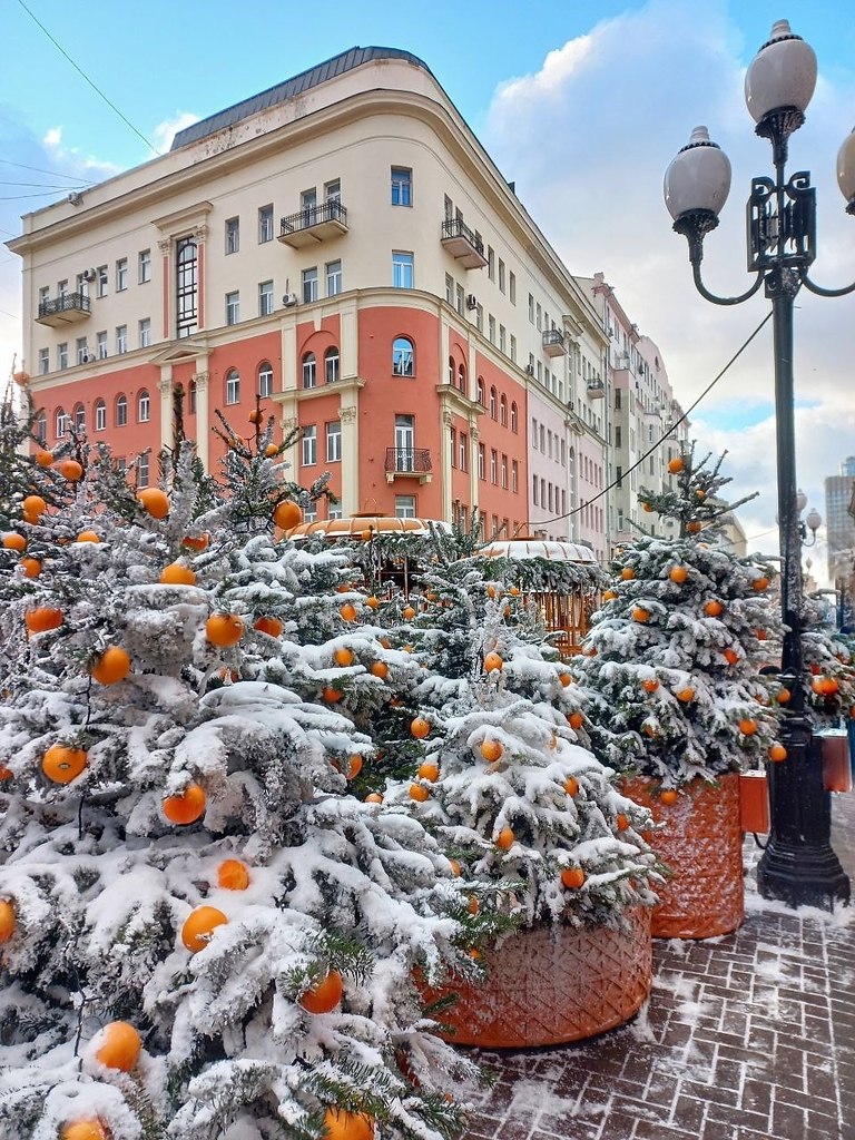 ���������� �����.����: ��������� ������ - 6