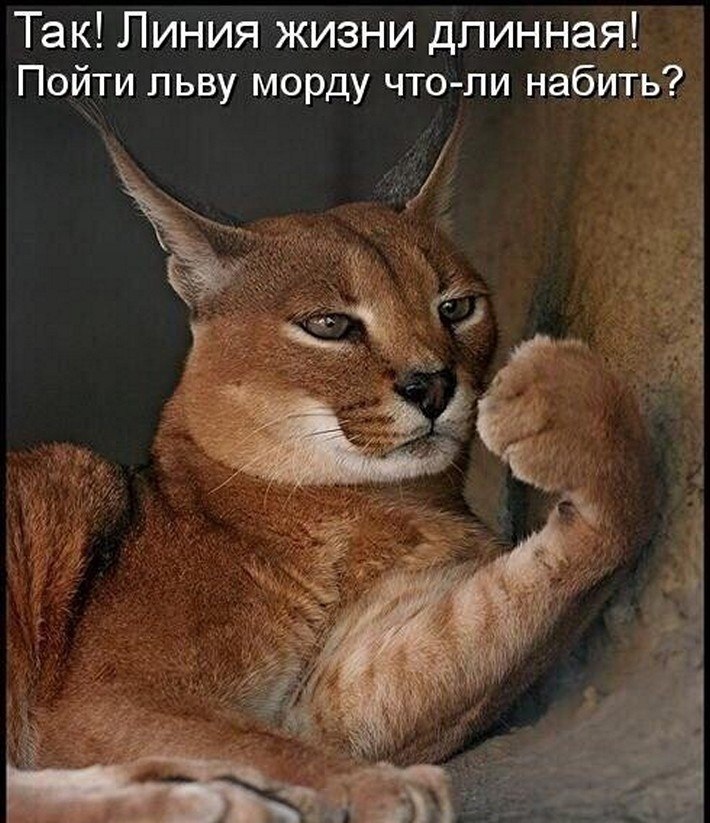 ? ,  ! - 30  2025  12:27