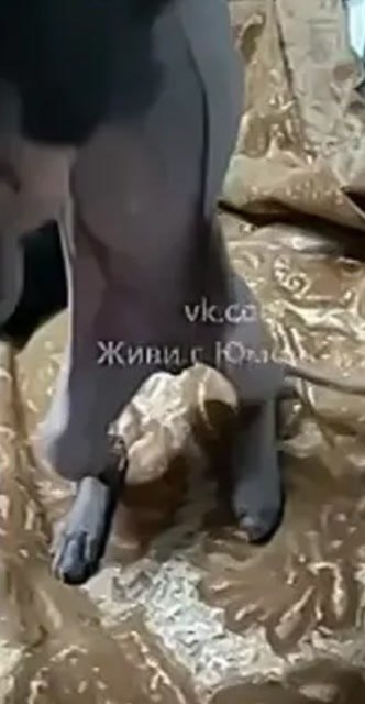 ��� ������ ������� ���������� �� ���������� ������� ��� ����������� -50 ��������. ���������� ������ ... - 2