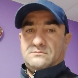 �����, ������������, 44 ����