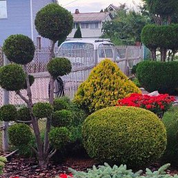 ���� ������, ������, 67 ��� - ��������� 26 ������� 2026