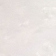 ��������, 48 ���, ������