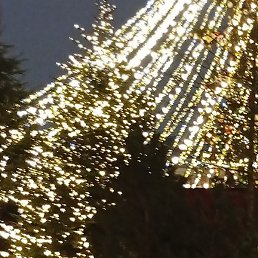 ������, ������, 70 ���