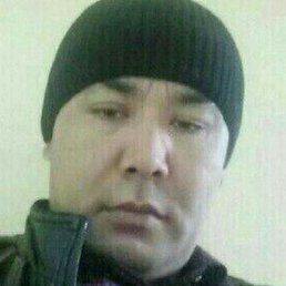 ����, ��������, 43 ����