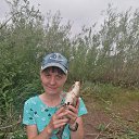 ���� ����������, �����, 37 ��� - ��������� 22 ����� 2026