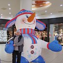 ���� ������, ��������, 62 ���� - ��������� 6 ������ 2024 � ������ ���� ����������