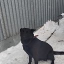 �����