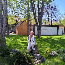 , 55, 