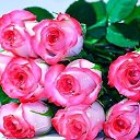 ���� ����, ������������, 60 ��� - ��������� 16 ������ 2025 � ������ ������ ��������