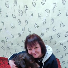 �����, �������������, 54 ����