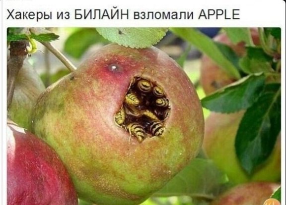 Apple 