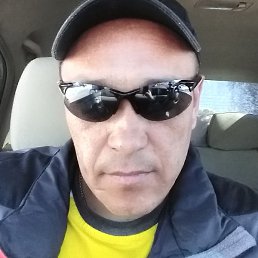 ��������, �����, 41 ���