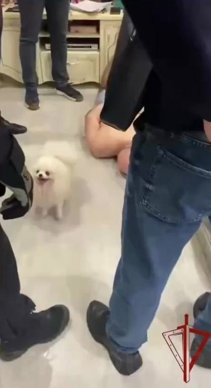  capac ce ca a coeo xoa o aepa. Ha o eo paa cepa. Ka ...