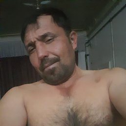 , 32, 