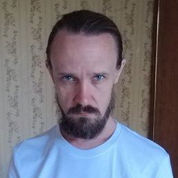 , 41, 