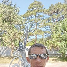 , 46, 