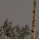 03.05.2024 �� ������� ������ ��������