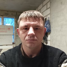 ����, 37 ���, ���������