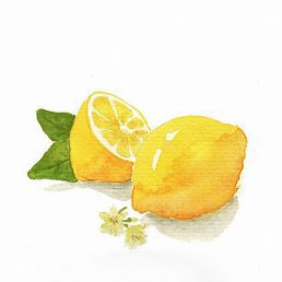 ��������, �����������, 20 ���