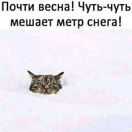 ����, ������ ��������