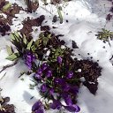 ���� ������, �����, 64 ���� - ��������� 11 ����� 2024 � ������ ������ ��������