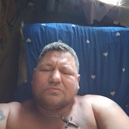 , 42, 