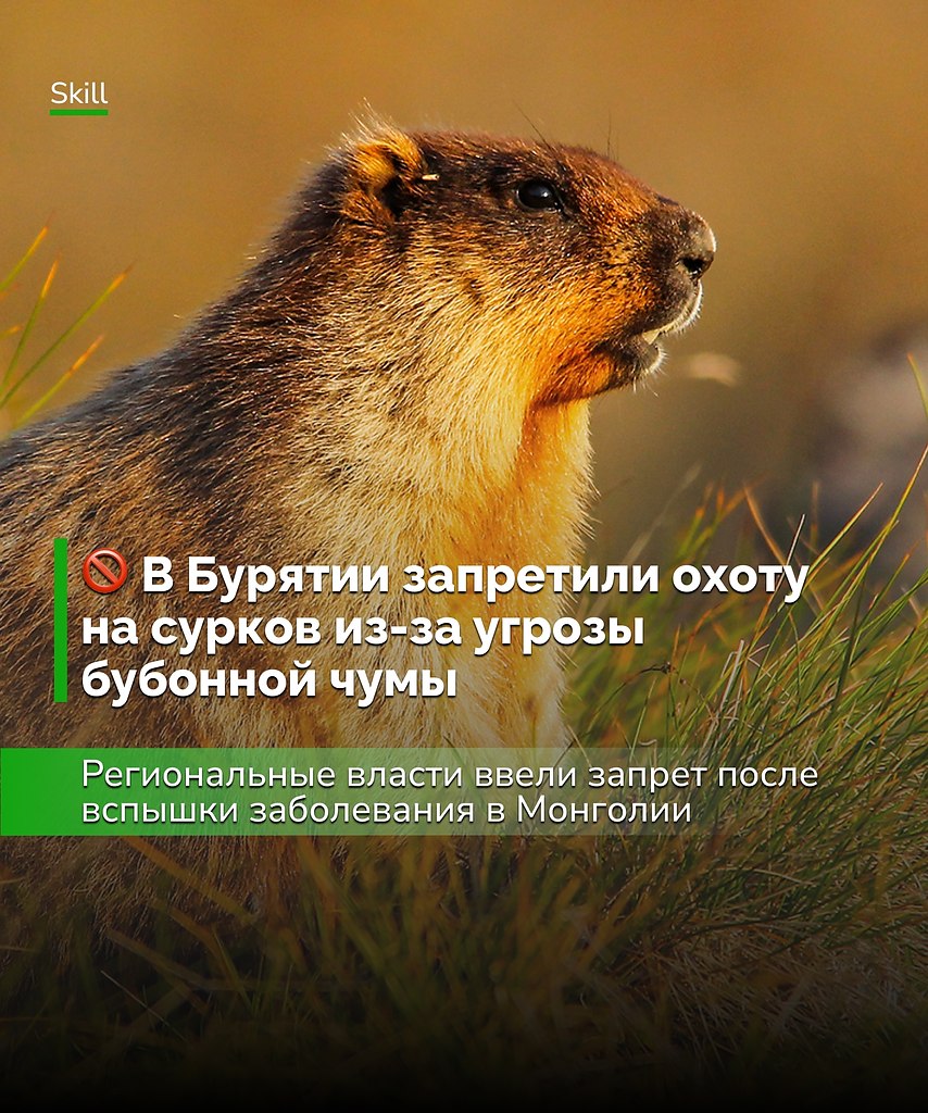 Напоминание из прошлого — даже в XXI веке природа всё ещё способна напугать сильнее любой эпидемии ...