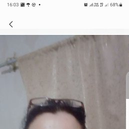 , 58, 