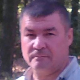 �����, ������, 54 ����