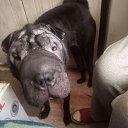 ���� ����, ������-��-����, 58 ��� - ��������� 13 �������� 2026 � ������ ���� ����������