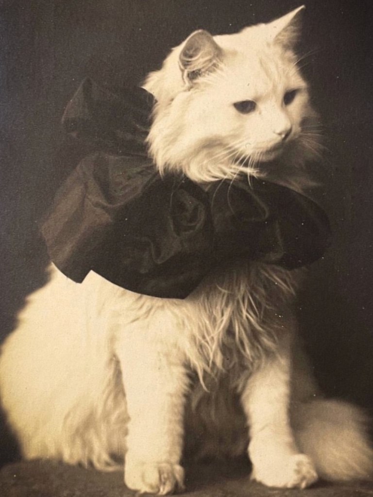    .       :  , , ... - 6