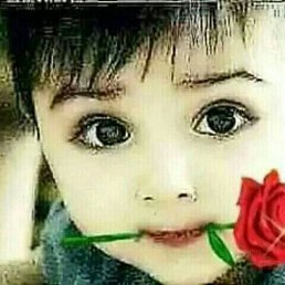 ���� ������, ������, 40 ��� - ��������� 26 ������ 2023