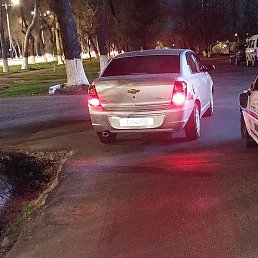 Anvar, �����, 29 ���