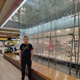 ����, 37 ���, �����������