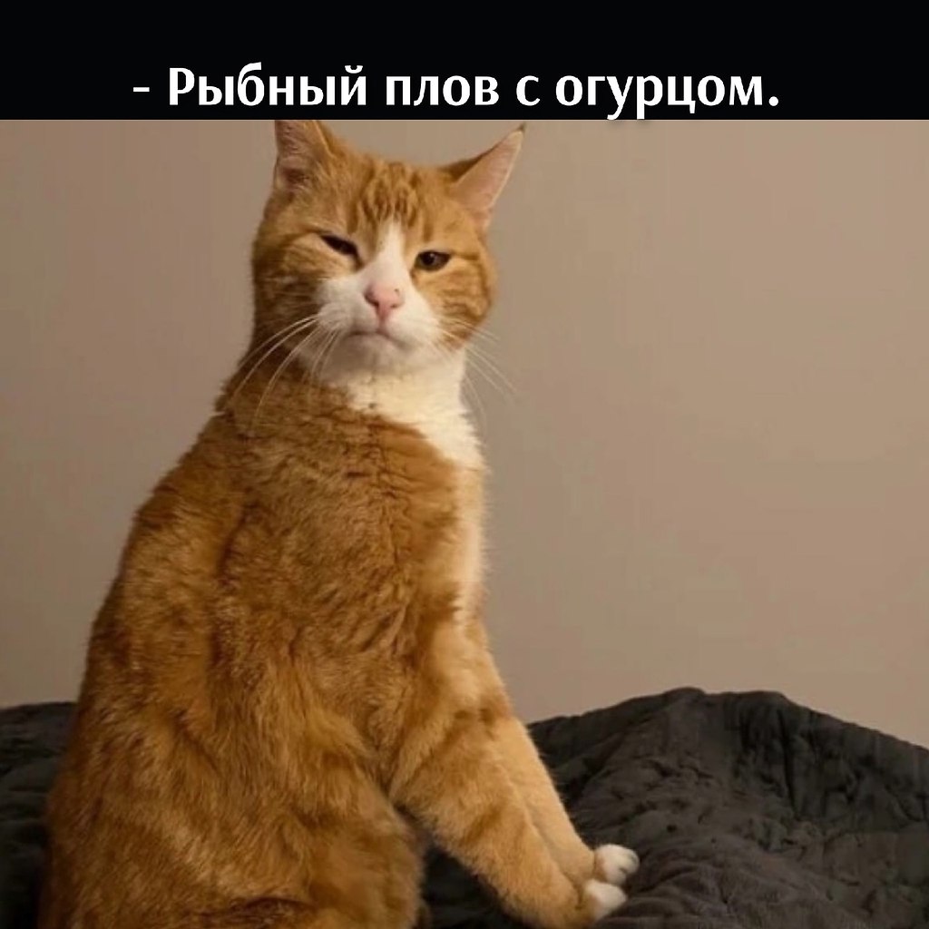 ��� ���� � ����� �� �� - 23 ������� 2026 � 16:30 - 2