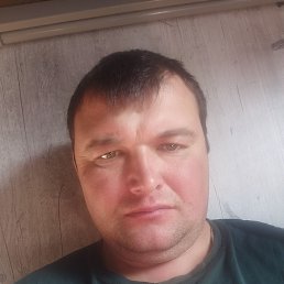 , 37, 
