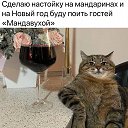 ���� ������, ������, 42 ���� - ��������� 18 ������� 2023