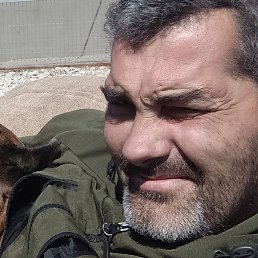 ����, ������, 39 ���