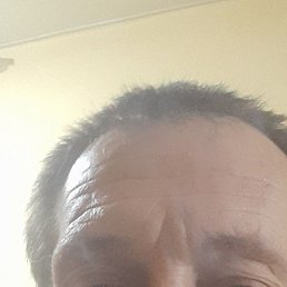 �����, ���, 49 ���