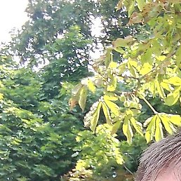 �������, ����, 49 ���